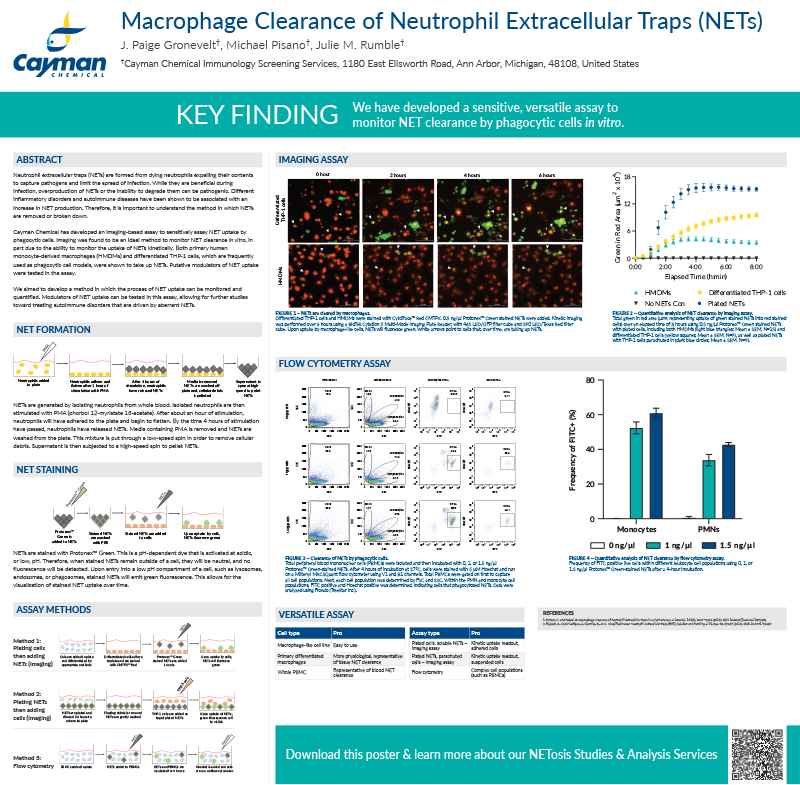 Macrophage Clearance of Neutrophil Extracellular Traps (NETs)<br>